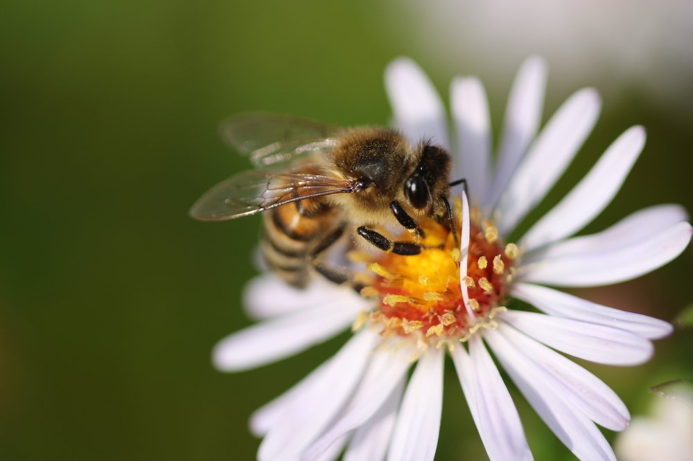 Photograph by Ирина Нурбаева