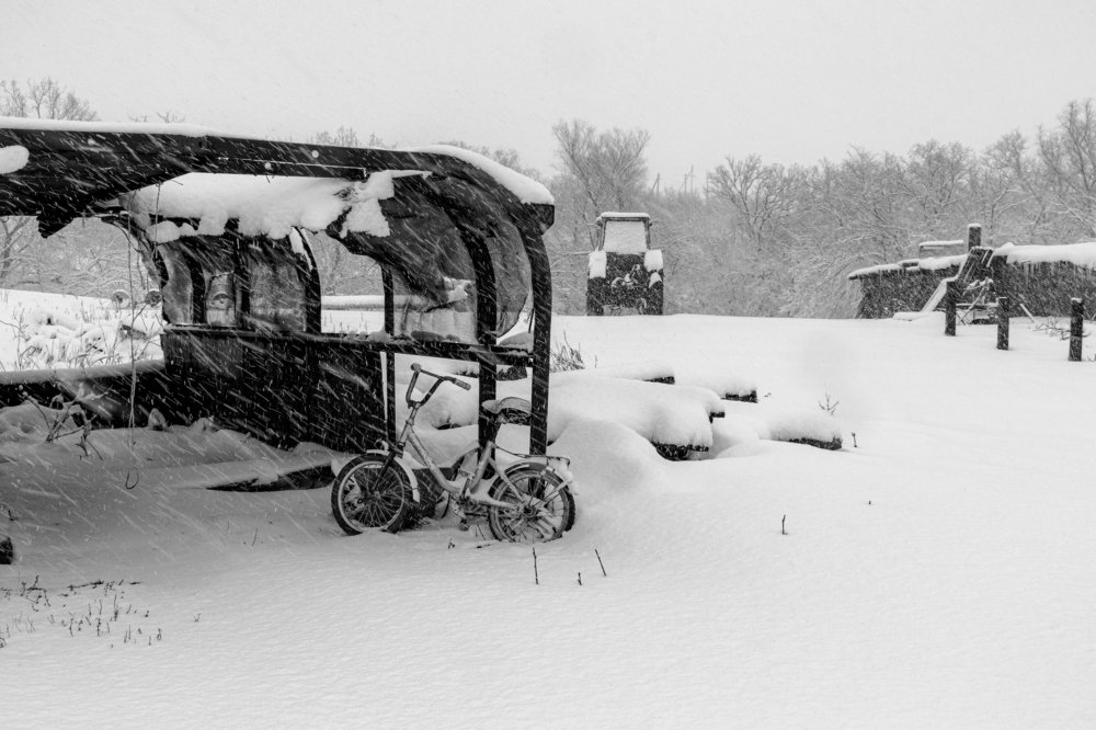 Photograph by Александр Пиленгас