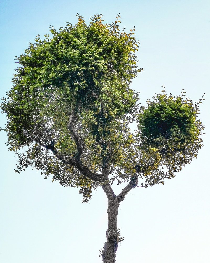 Photograph by Дмитрий Фёдоров