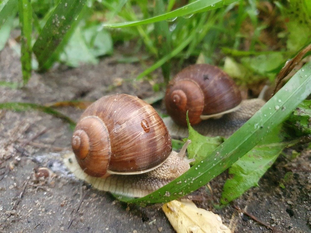 Photograph by Андрей Хитрун