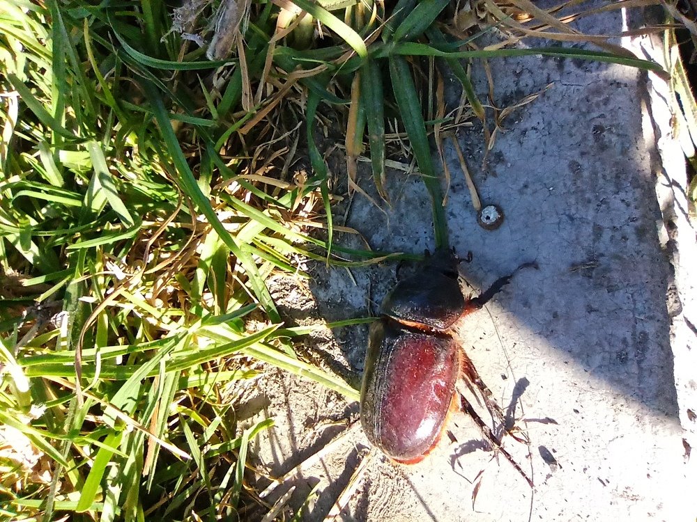 Photograph by Gerardo Jimenez