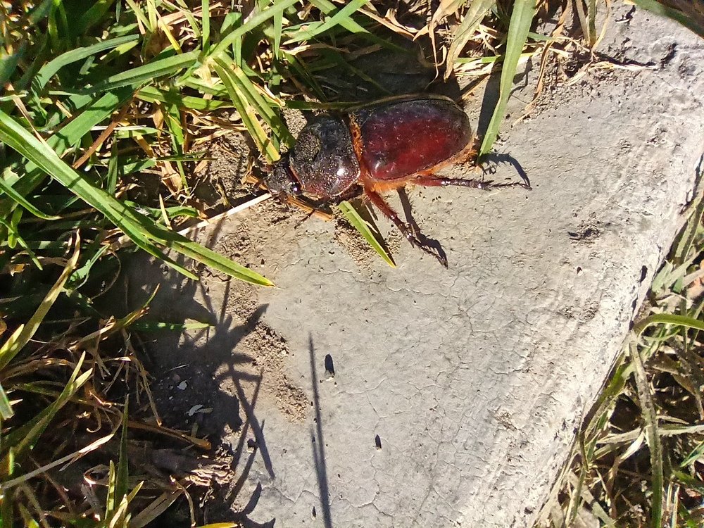 Photograph by Gerardo Jimenez