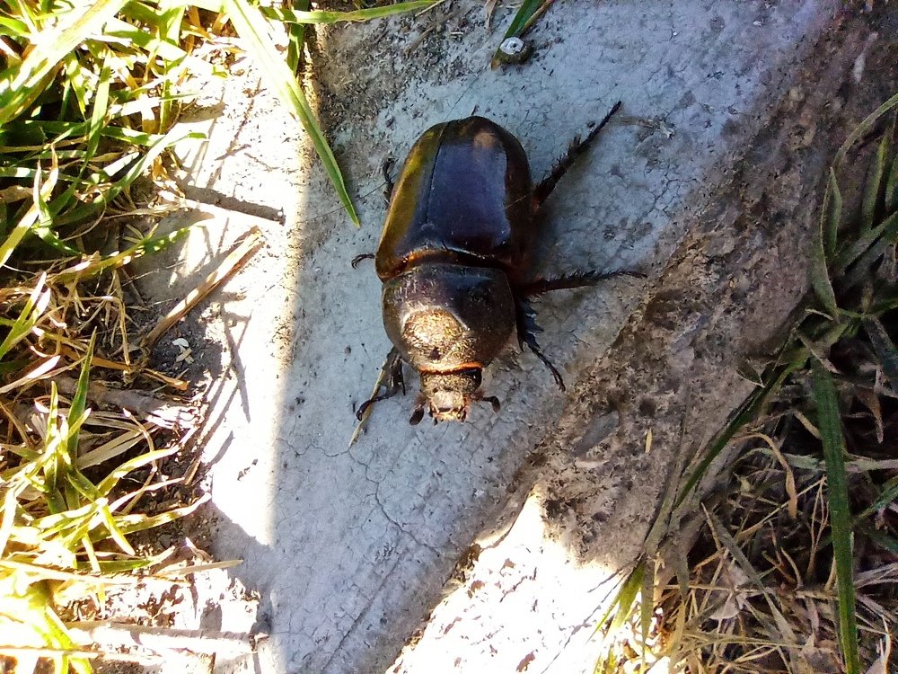 Photograph by Gerardo Jimenez