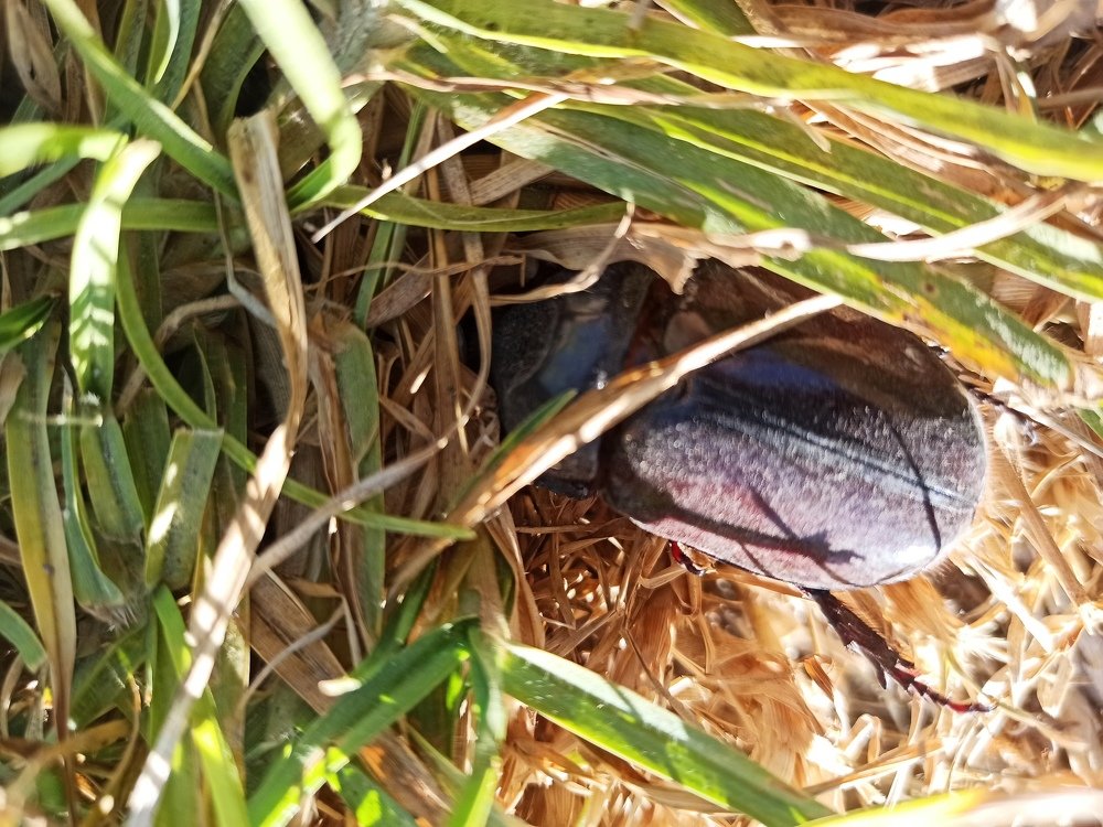 Photograph by Gerardo Jimenez