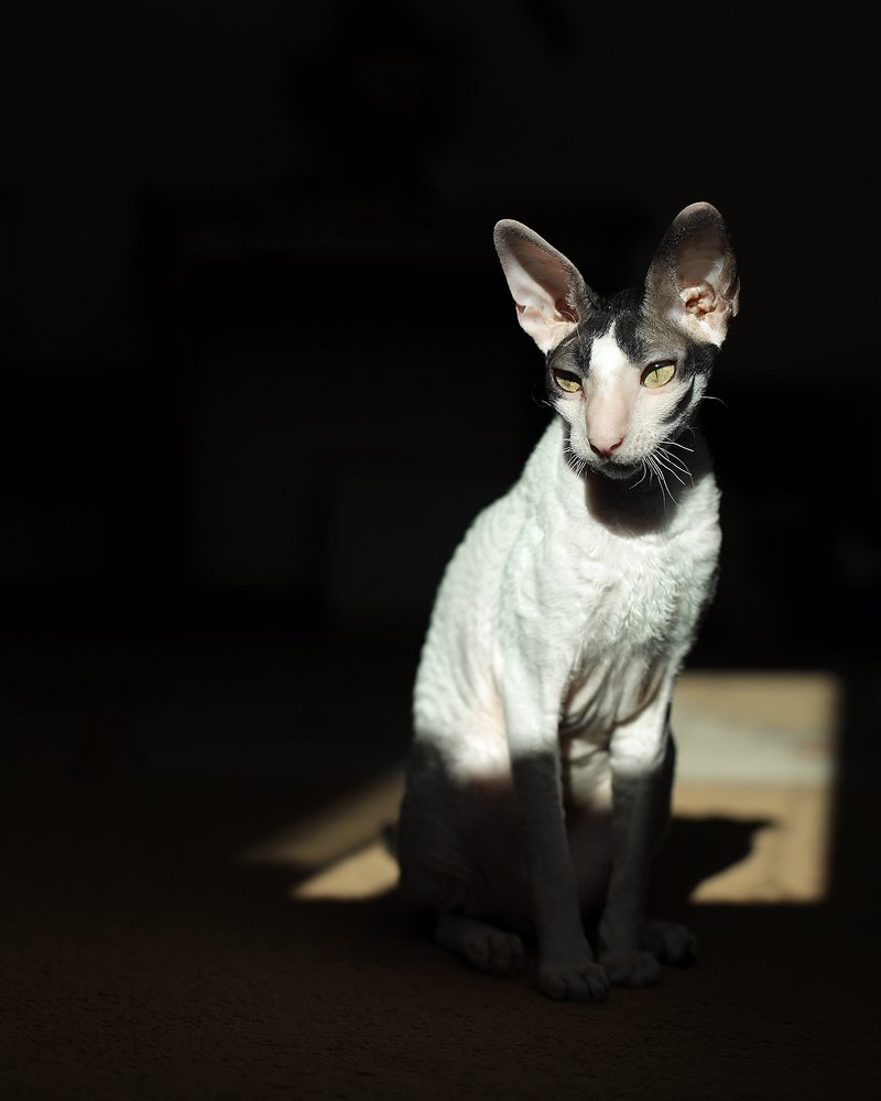 Photograph by Евгений Поздняков