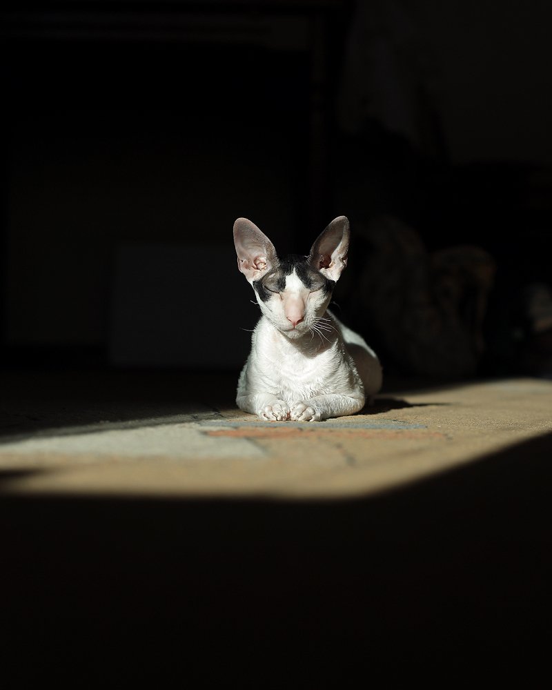 Photograph by Евгений Поздняков