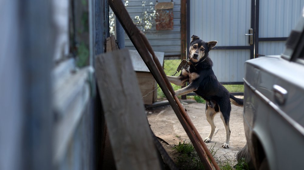 Photograph by Евгений Поздняков