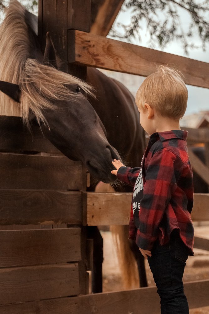 Photograph by Елена Шерстнева