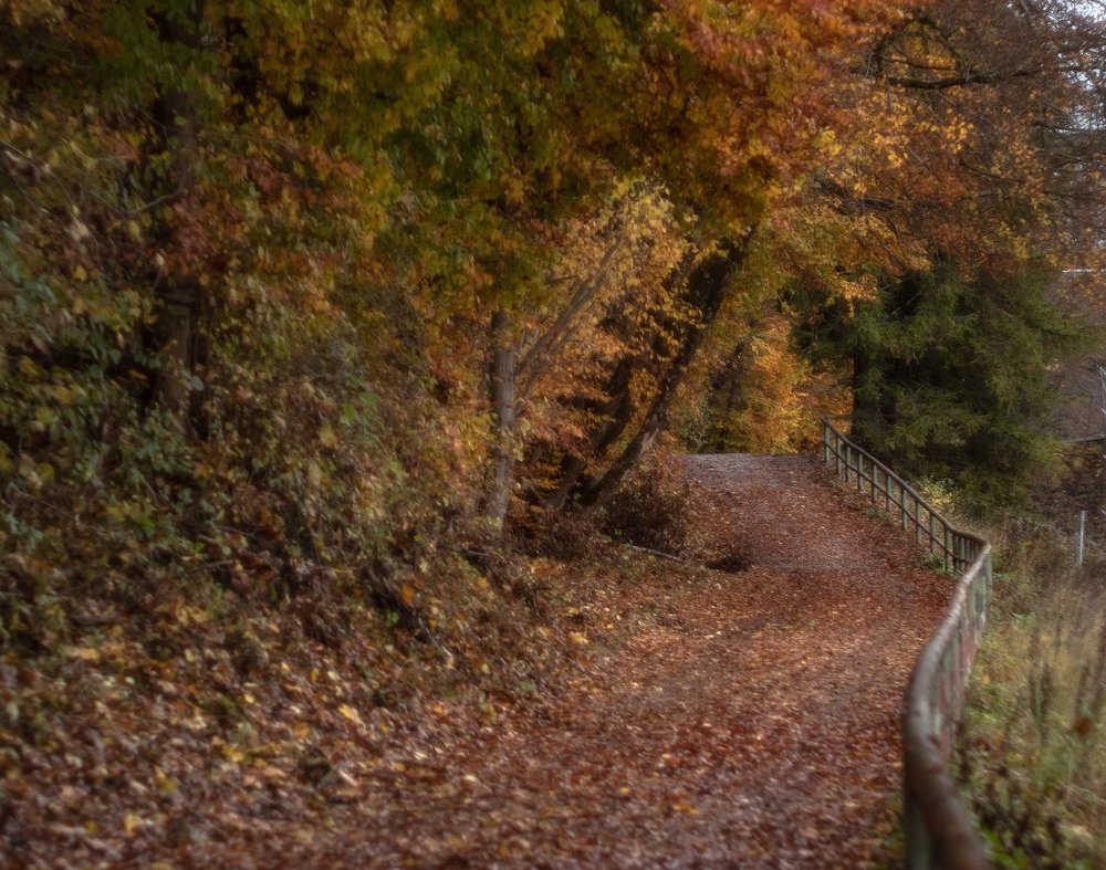 Photograph by Ксения Лаевская