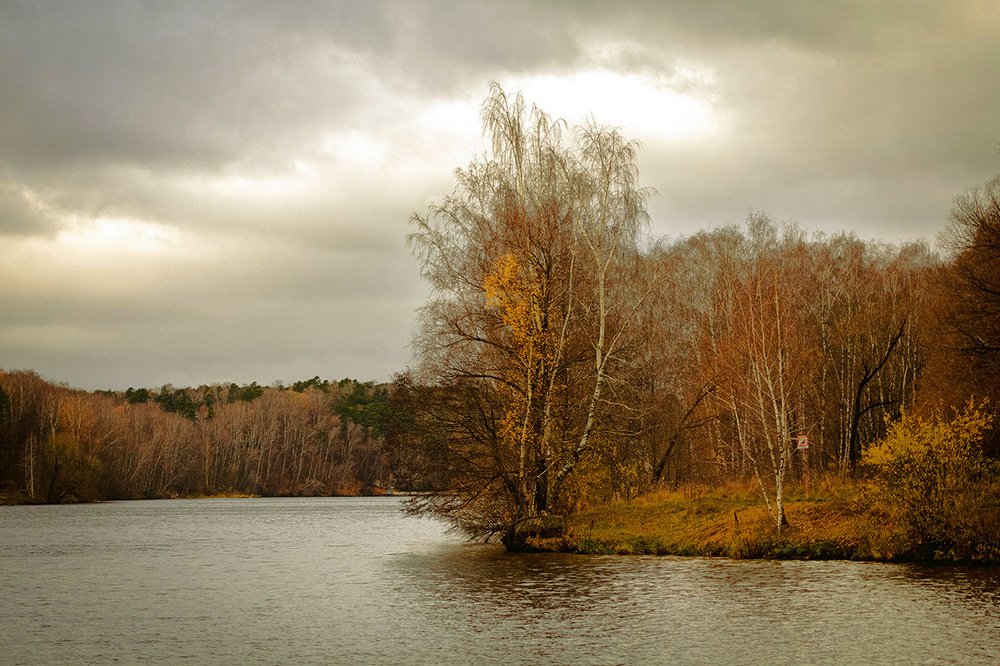 Серебряный бор