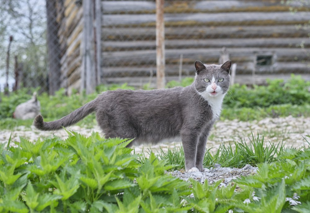 Photograph by Dmitry K