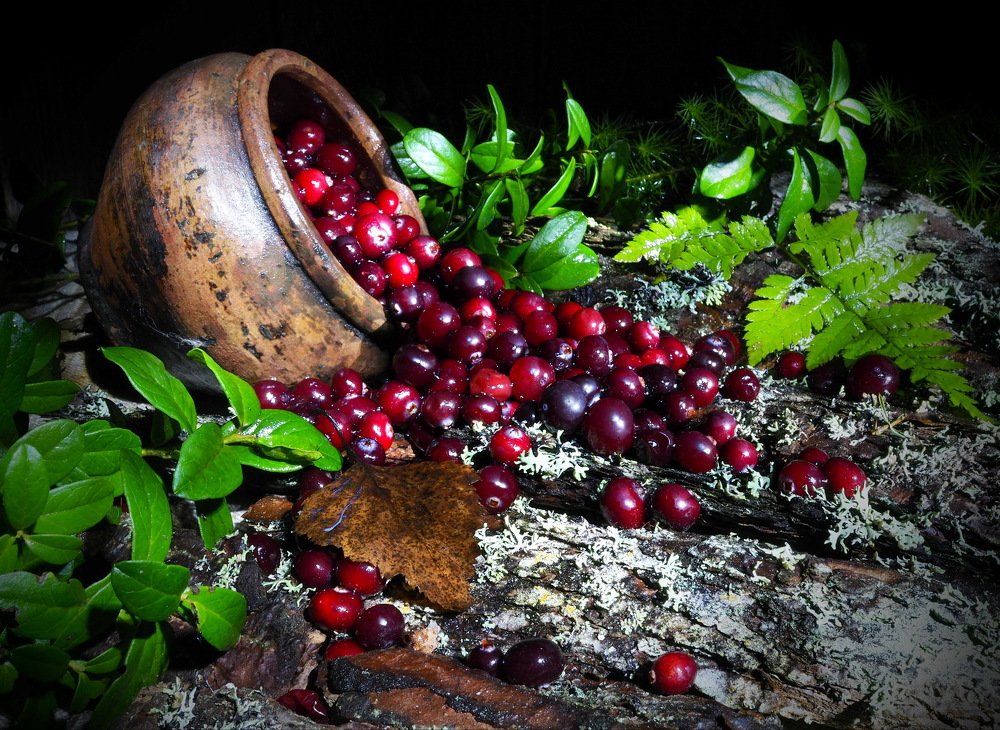 Признак осени.