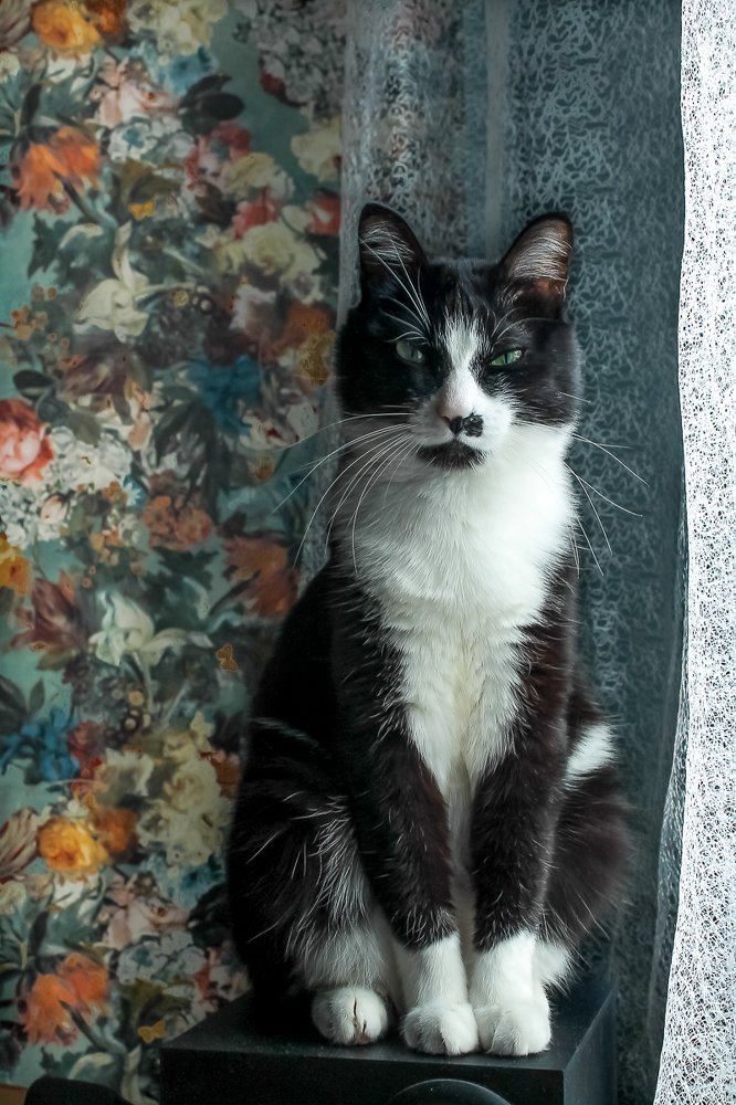 Мартын.Портрет.