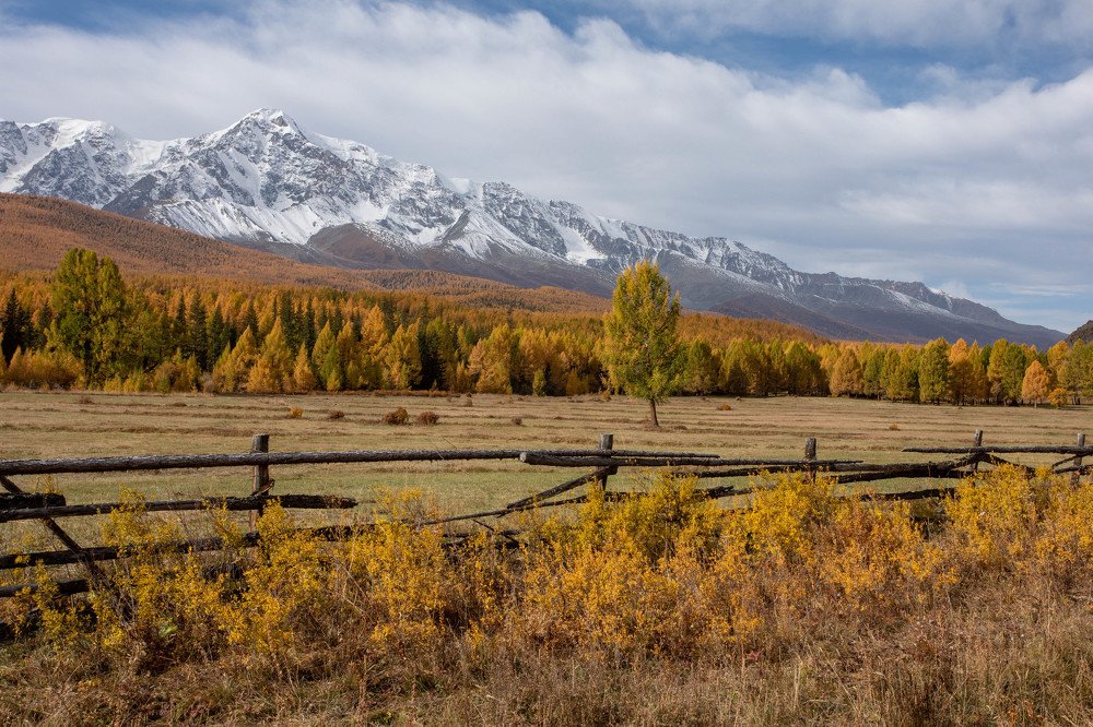 Золото степей Алтая