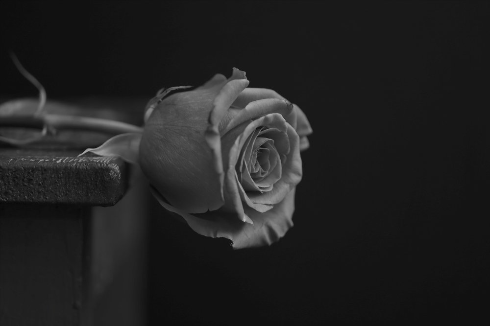 Photograph by Михаил