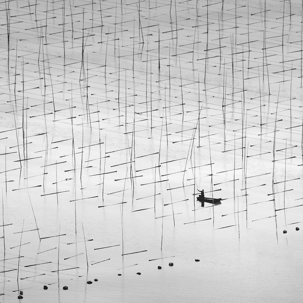 Фотография автора soo mui loh