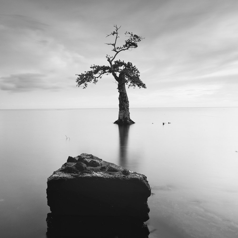 Фотография автора soo mui loh