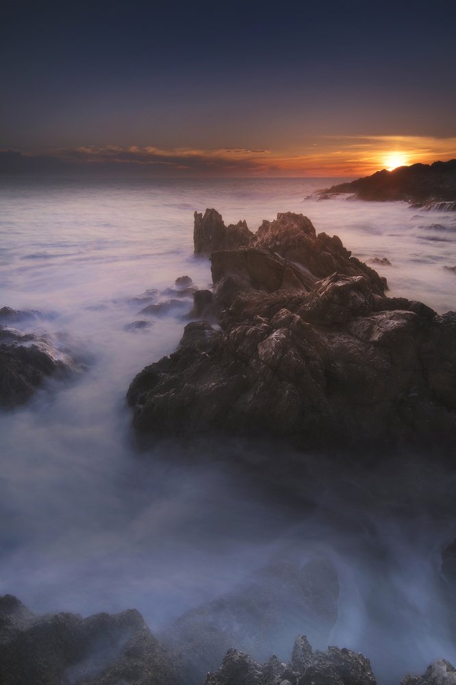 Photograph by Davide Giannetti