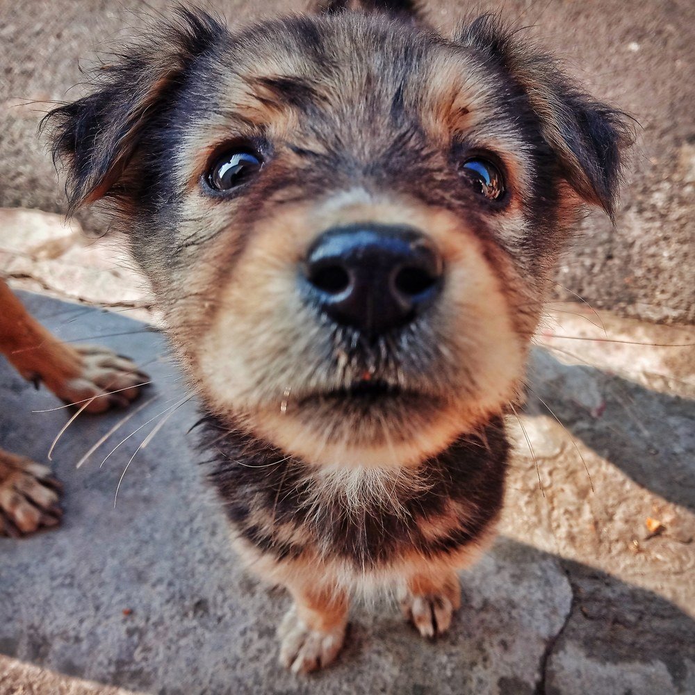 Photograph by Sourabh Sharma