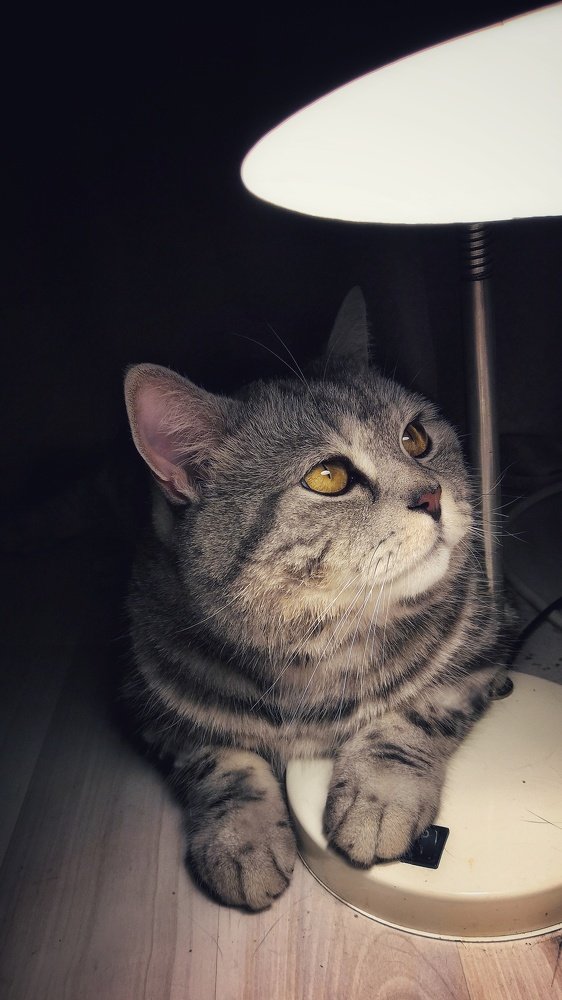 Photograph by Илья Шамин