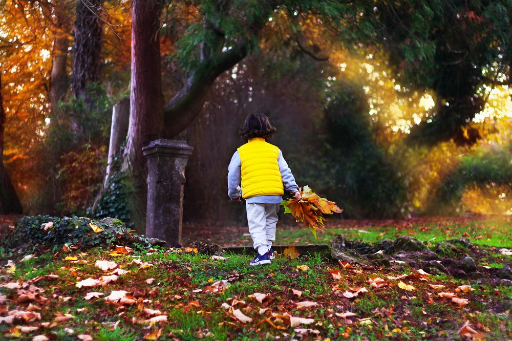 Таинственный сад