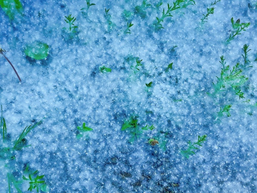 Photograph by Любовь Смолина