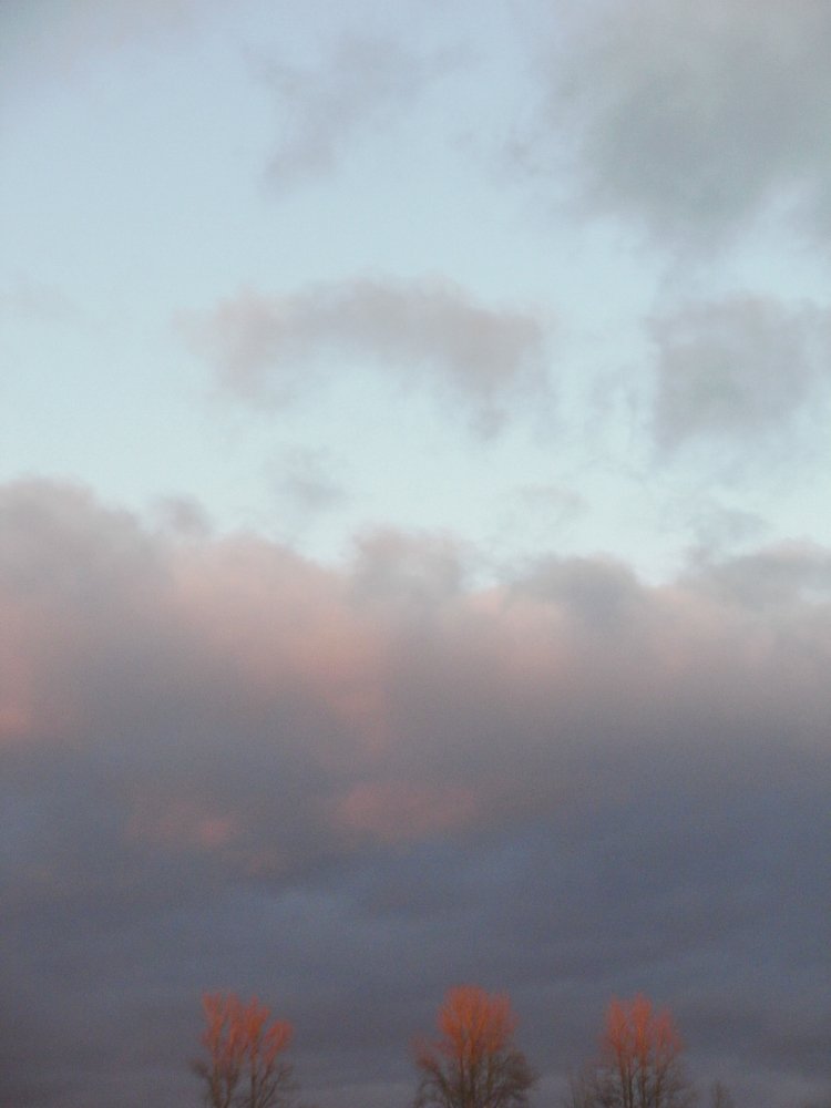 Photograph by Irina Mihailovskaya