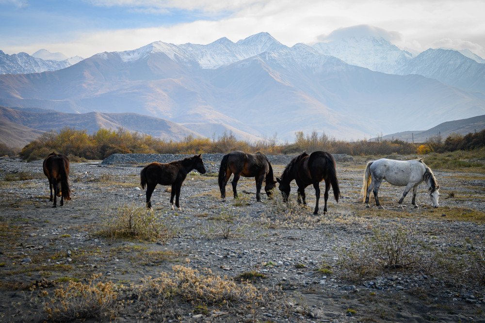 Фотография автора Оксана Белозерская