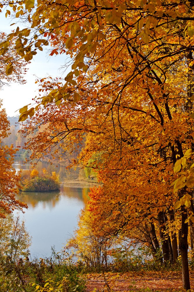 Photograph by Василий Ковалев