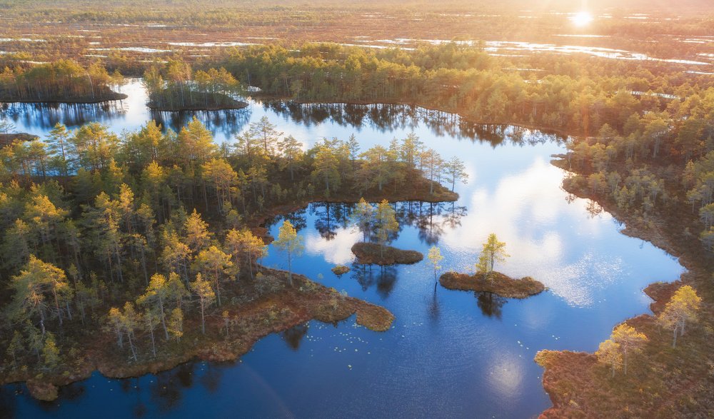 Photograph by Светлана Краюшкина