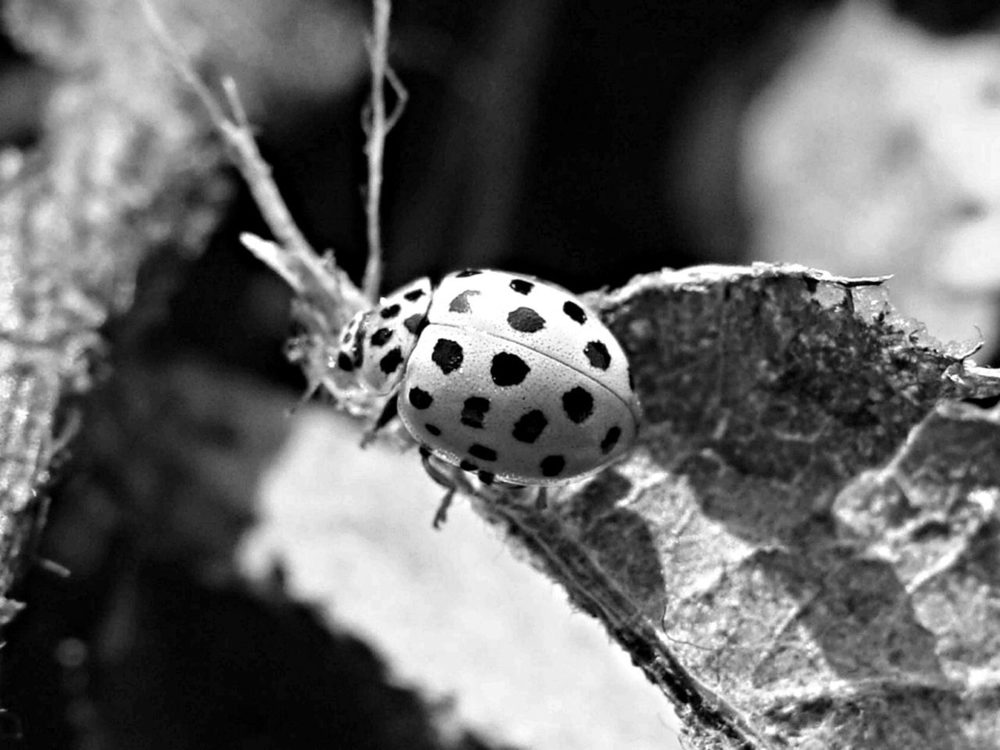 Фотография автора Павел Попов