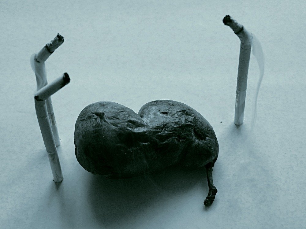 Photograph by Светлана Михайлова