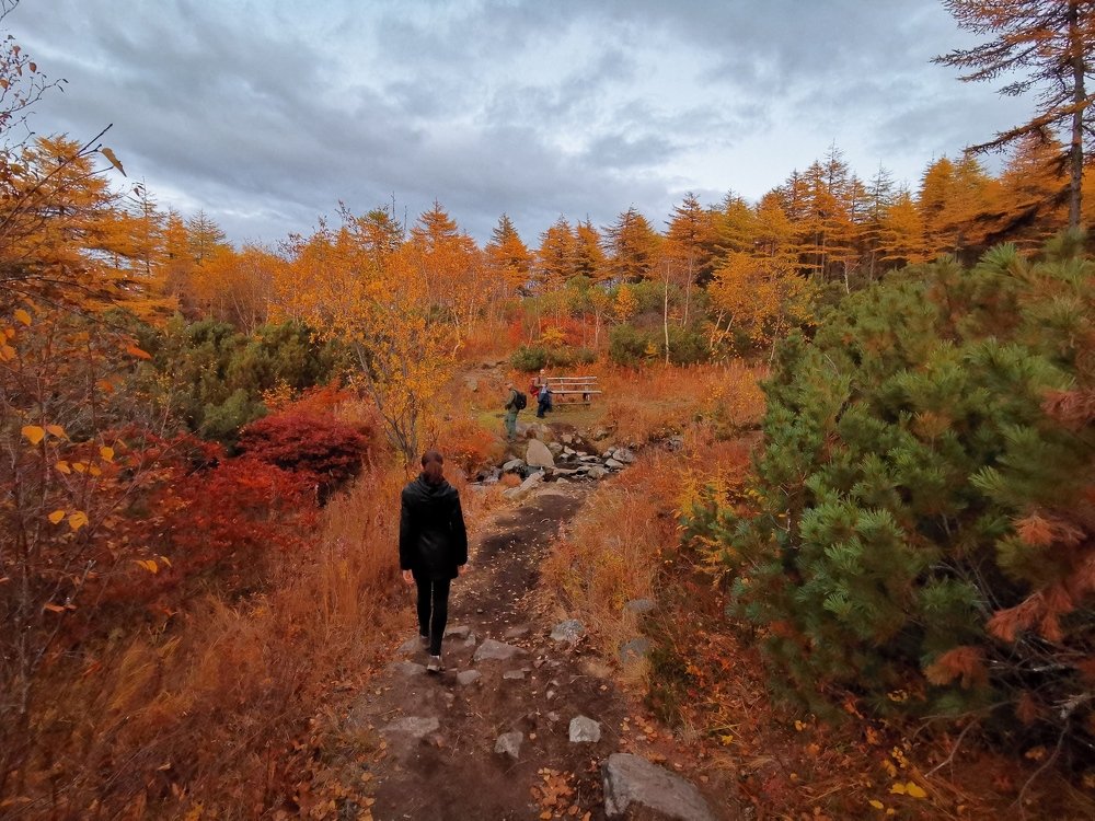 Фотография автора Закурина Маргарита