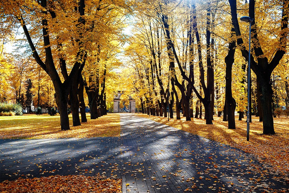 Photograph by Белов Сергей