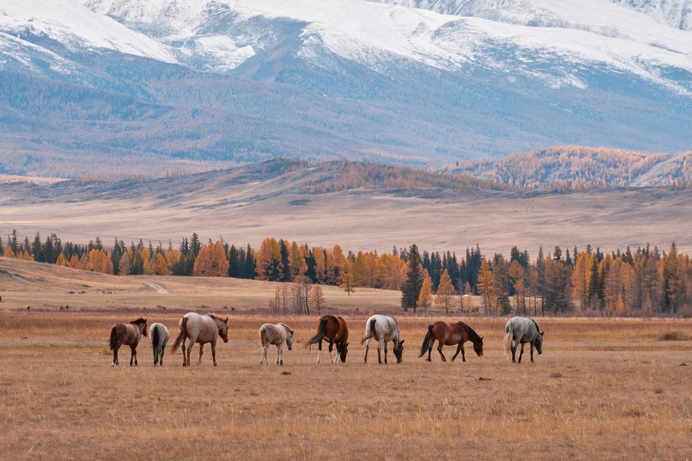 Фотография автора Владимир Эделев