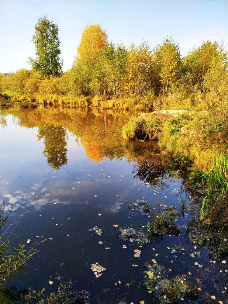 Photograph by Elvira Maksimova