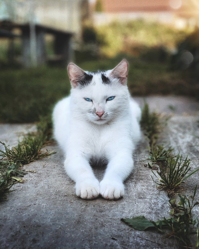 Photograph by Сергей Протасов