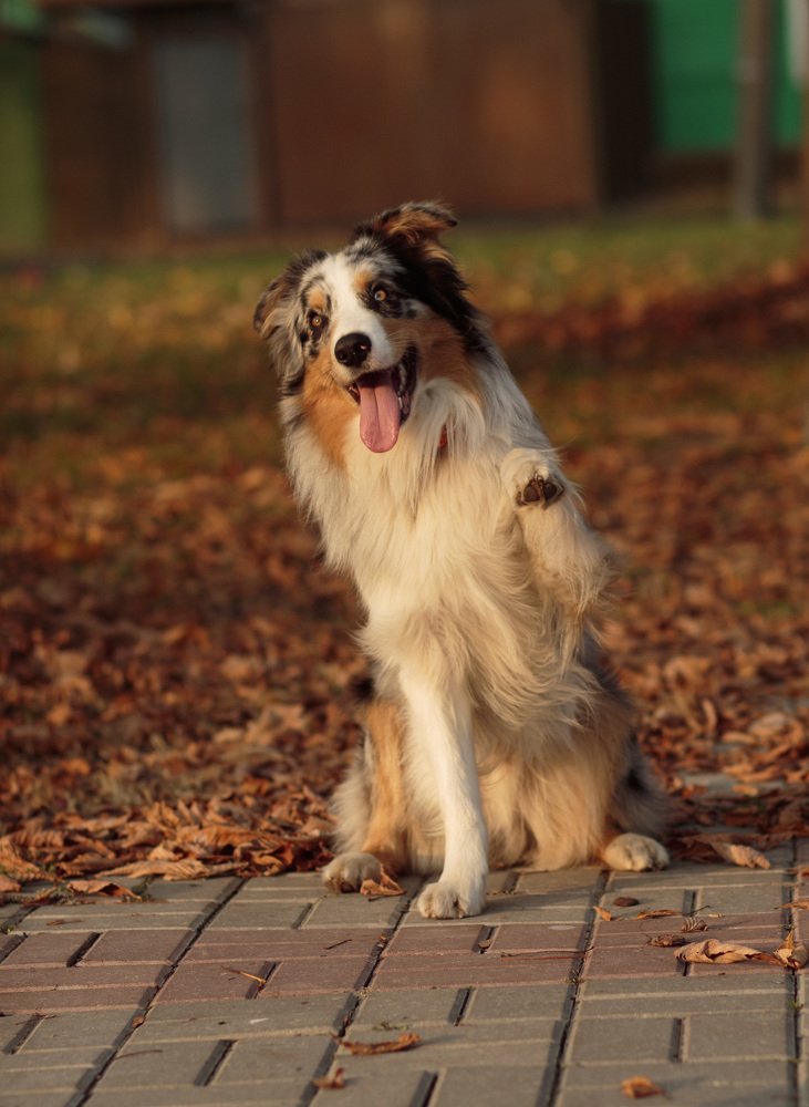 Photograph by Елена Демус