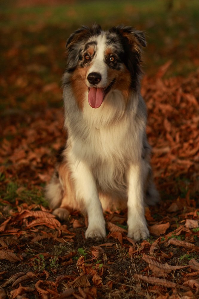 Photograph by Елена Демус