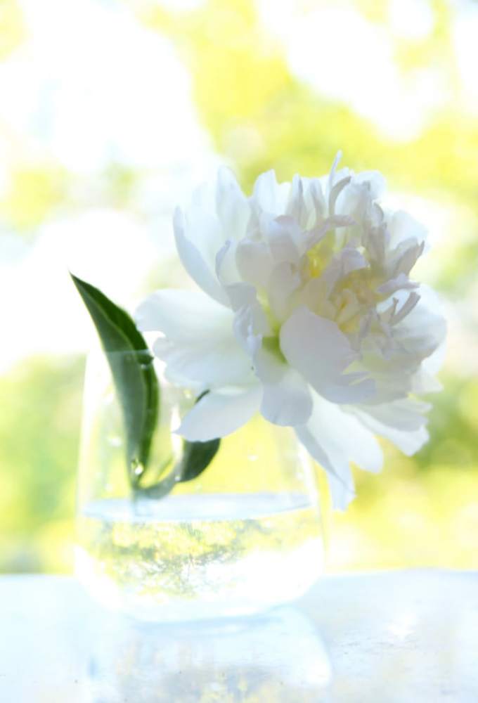 Photograph by Эльза Крюкова