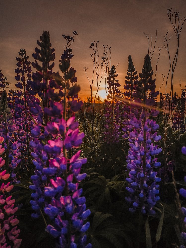 Photograph by Евгения Костырко