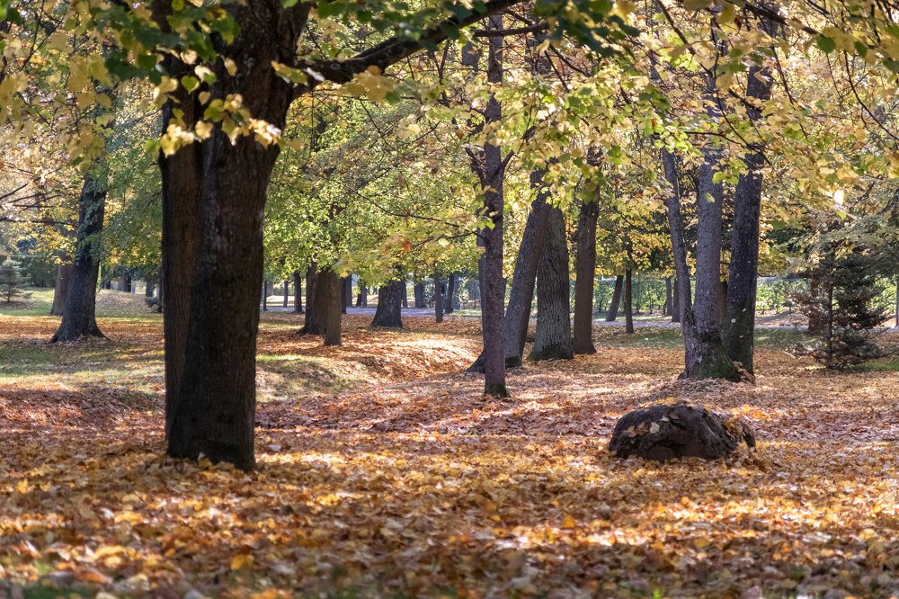 Photograph by Sergey Larin