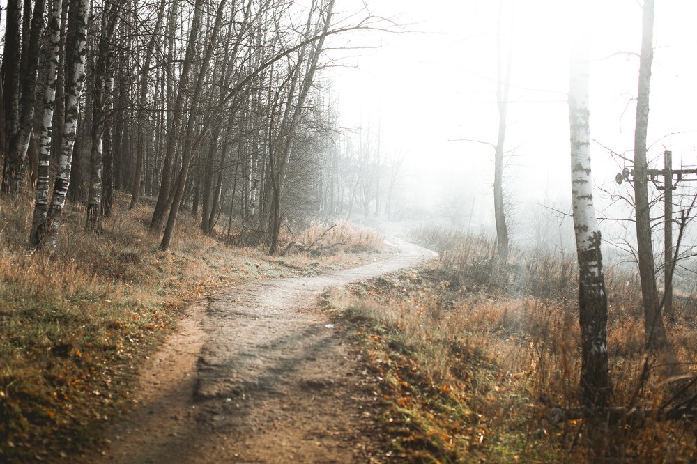 Photograph by Дмитрий