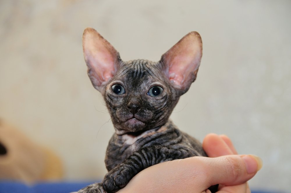 Photograph by Ясинский Юрий