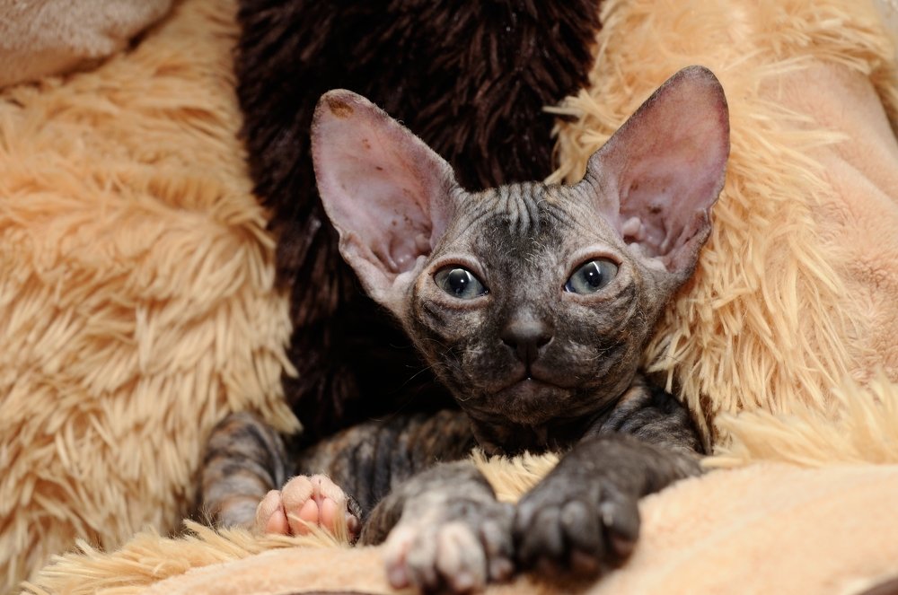 Photograph by Ясинский Юрий