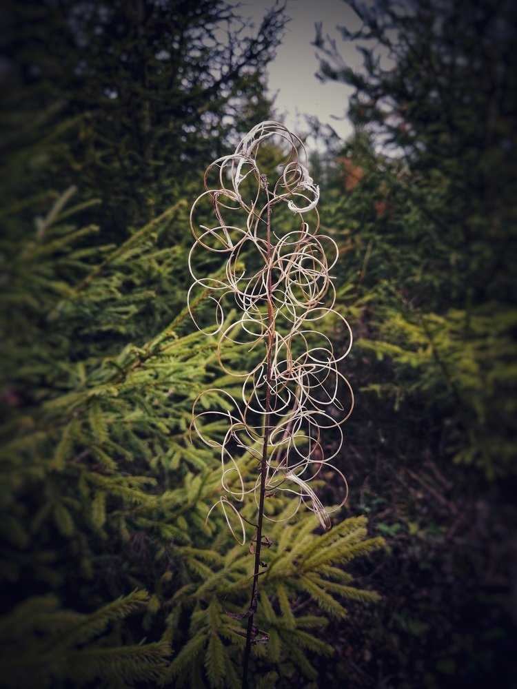 Фотография автора Евгения Снигирева