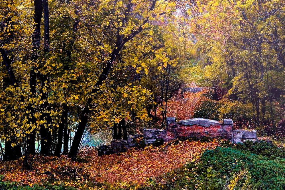 Photograph by Михаил Столяров