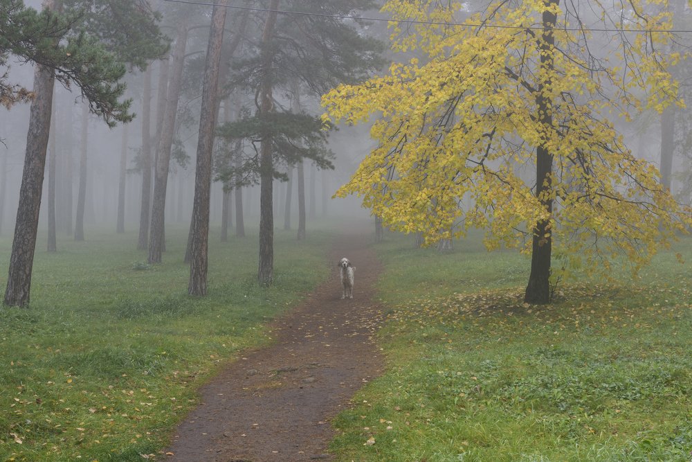 Photograph by Севостьянов Алексей