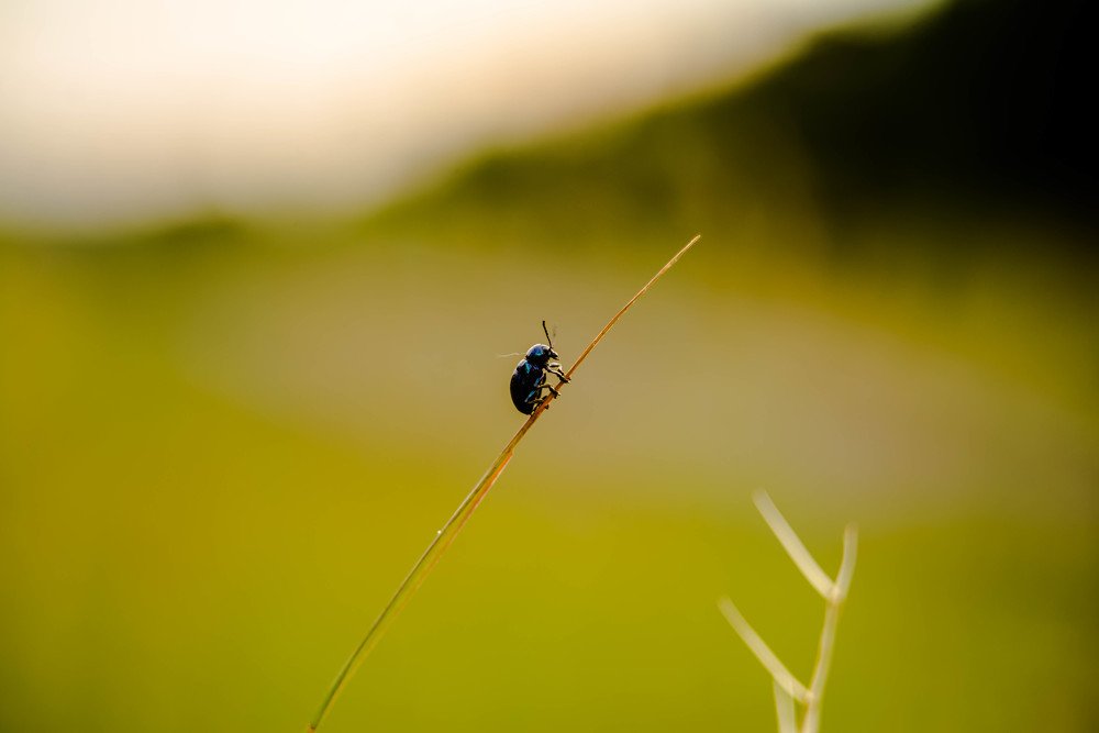 Photograph by Наталья Лещинская