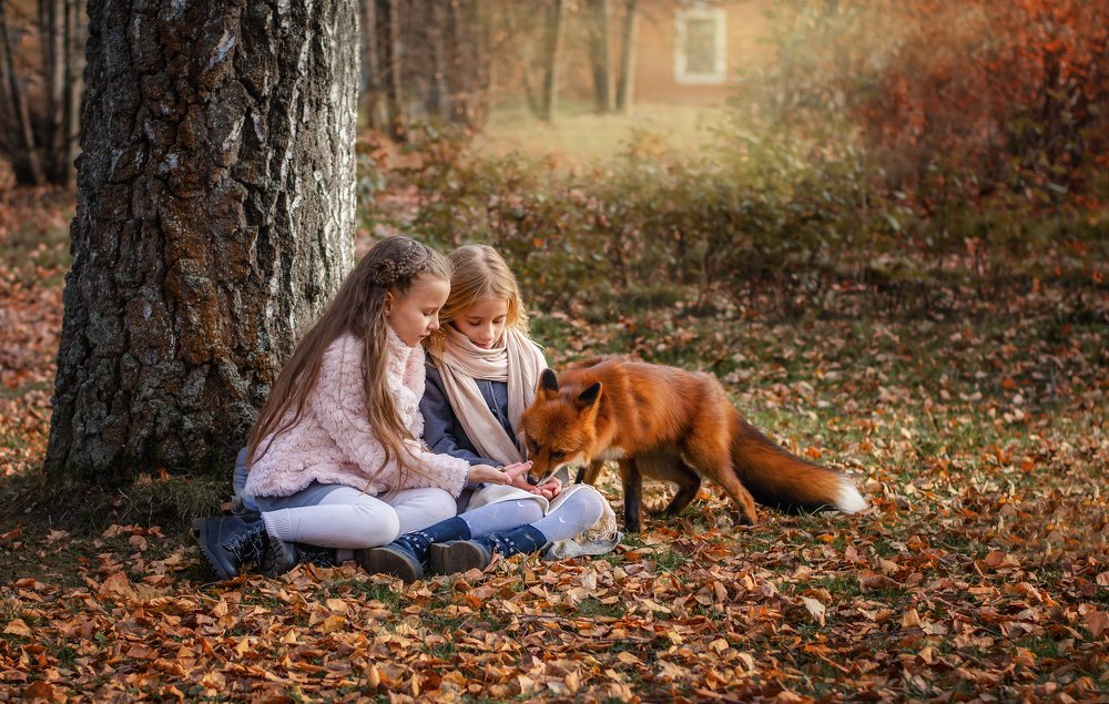 Photograph by Екатерина Лебедева